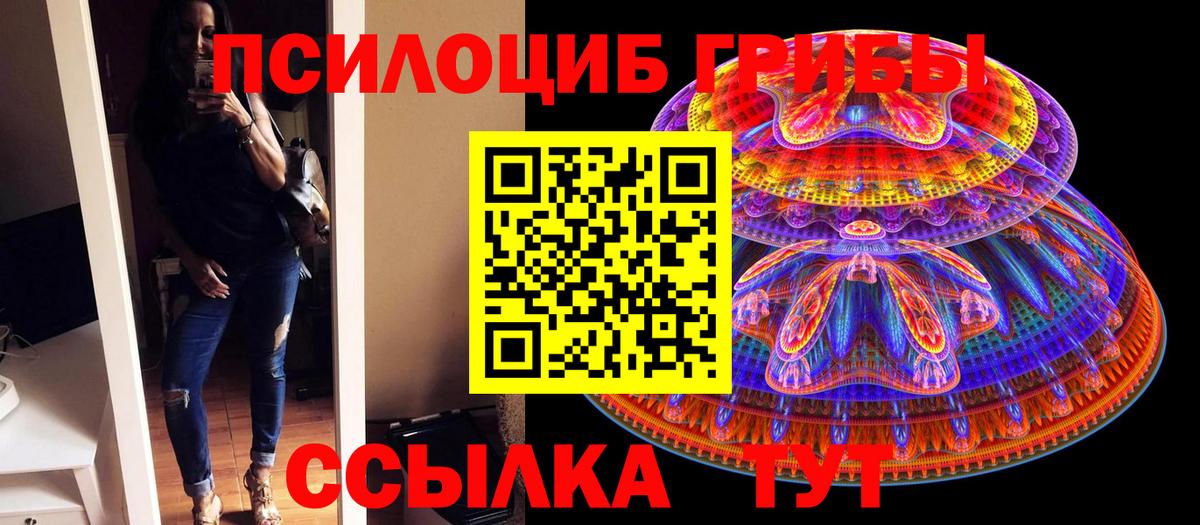 Псилоцибиновые грибы ЛСД Сыктывкар