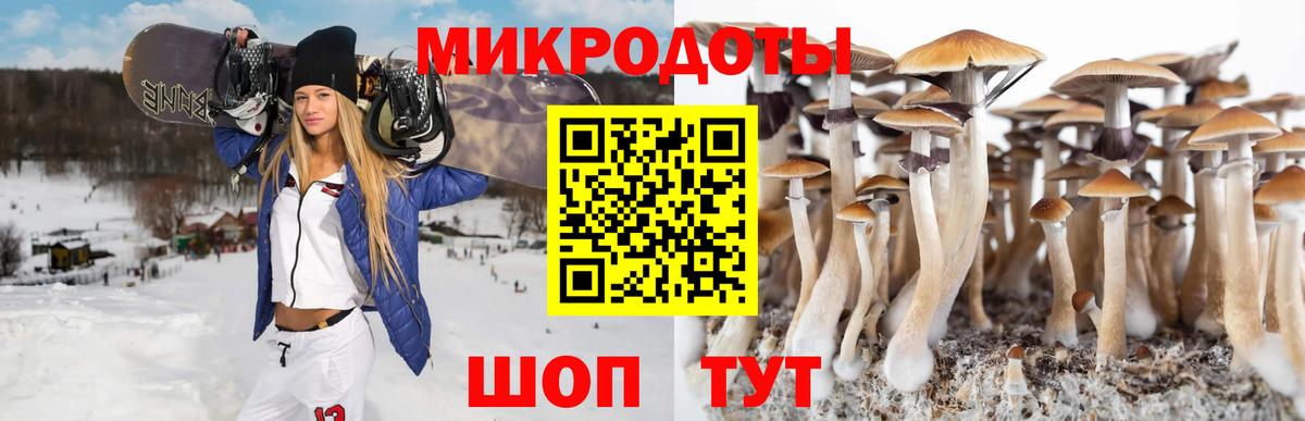 Псилоцибиновые грибы прущие грибы  Вход с VPN  Псилоцибиновые грибы ЛСД  Сыктывкар 